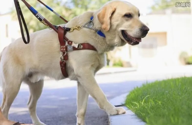 徽州宴老板娘拒绝道歉事件完整版 个人图片信息遭曝光