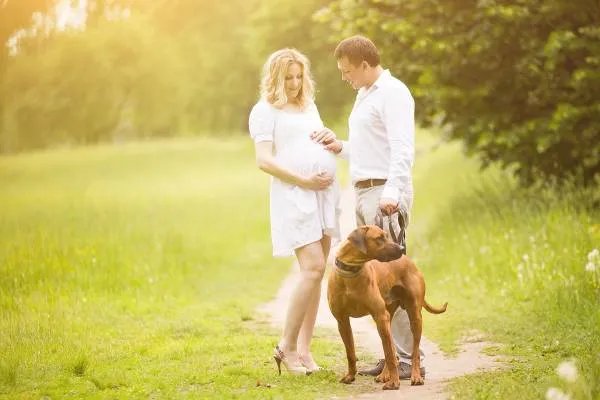 你觉得幸福是什么？