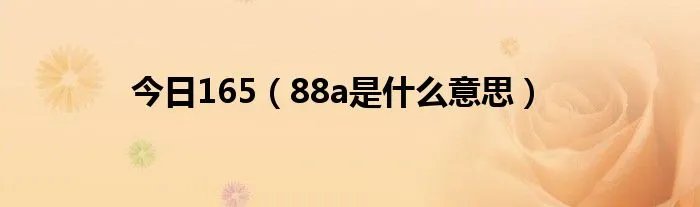 今日165（88a是什么意思）