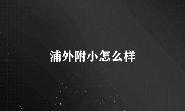 浦外附小怎么样