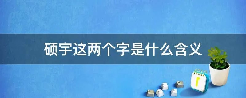 硕宇这两个字是什么含义
