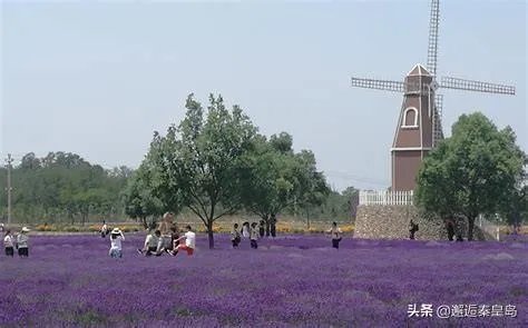 十一黄金周要去旅游，哪里比较适合一家三口旅游？