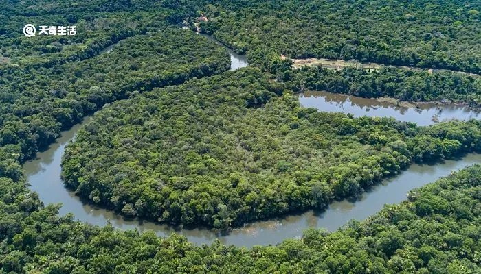 亚马逊河流域经过几个国家