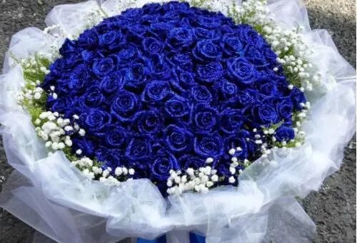 16朵玫瑰花代表什么意思 送玫瑰花代表什么