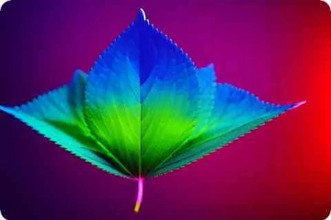 中国武器发展史是怎样的