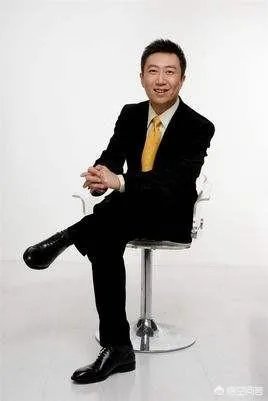 如何评价央视主持人陈伟鸿?