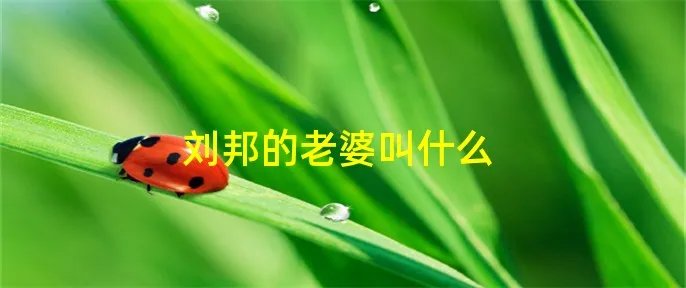 刘邦的老婆叫什么