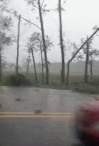 黑龙江乡镇遭龙卷风房盖满天飞