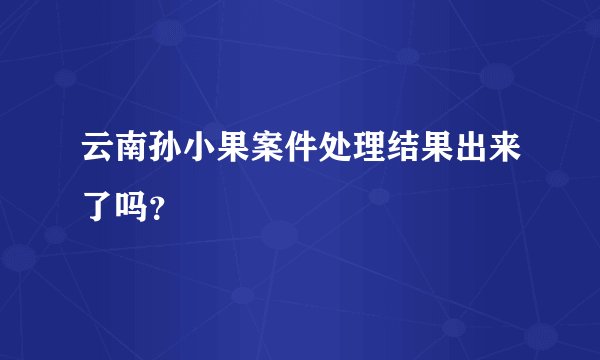 云南孙小果案件处理结果出来了吗？