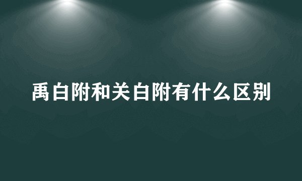 禹白附和关白附有什么区别