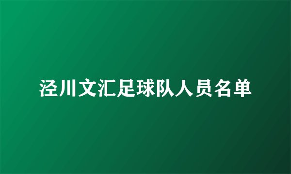 泾川文汇足球队人员名单