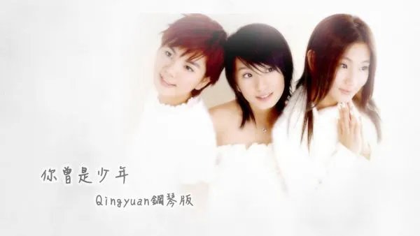 你曾是少年 歌词？