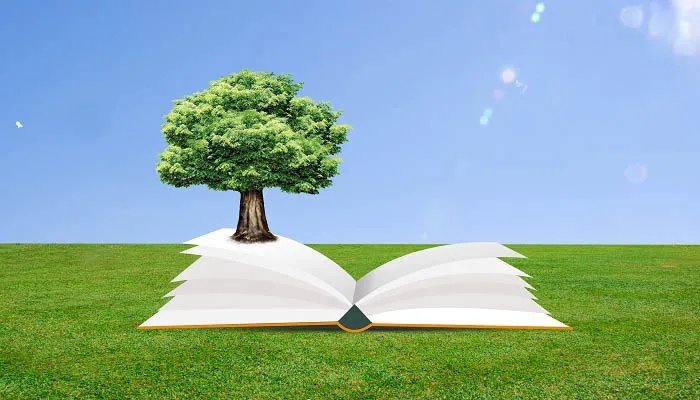 坚持不懈是什么意思 坚持不懈是什么意思解释