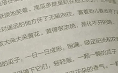 高三语文教学反思