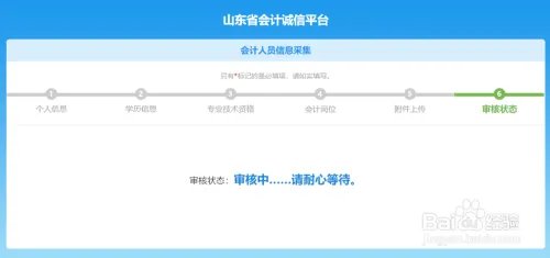 山东会计信息采集操作指南