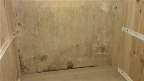 柜子发霉怎么处理