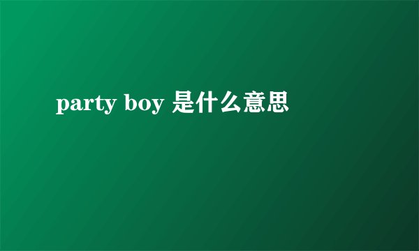party boy 是什么意思