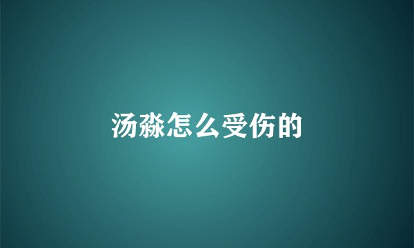 汤淼怎么受伤的