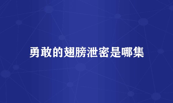 勇敢的翅膀泄密是哪集