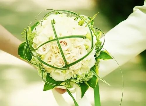 《曾经爱过我》林伟刘念最新章节小说全文阅读