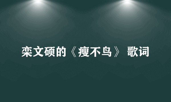 栾文硕的《瘦不鸟》 歌词