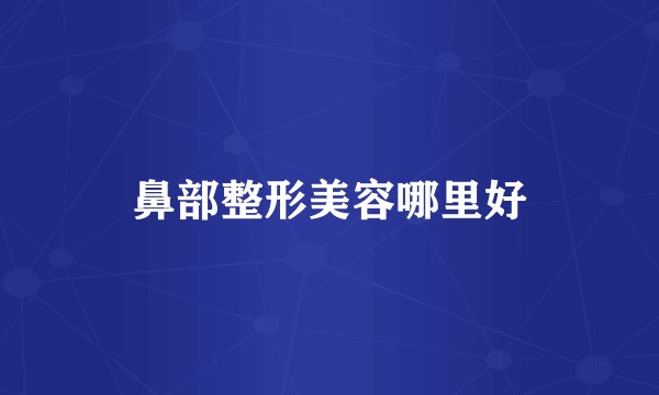 鼻部整形美容哪里好