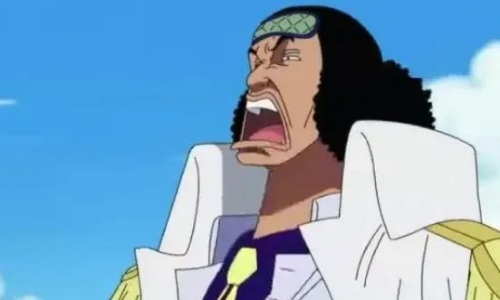 海贼王排名前100