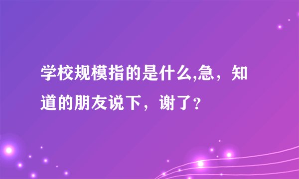 学校规模指的是什么,急，知道的朋友说下，谢了？