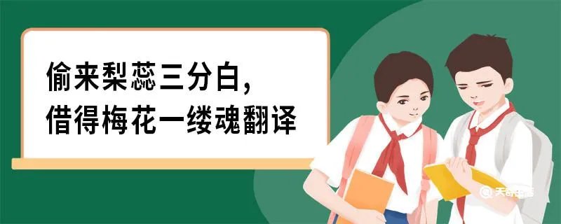 偷来梨蕊三分白,借得梅花一缕魂翻译