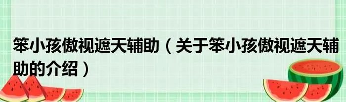 笨小孩傲视遮天辅助（关于笨小孩傲视遮天辅助的介绍）