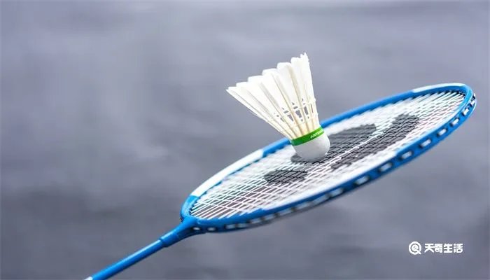 速度最快的球类运动