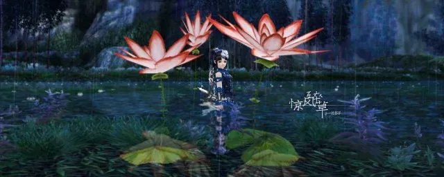 剑三唐门天罗输出手法