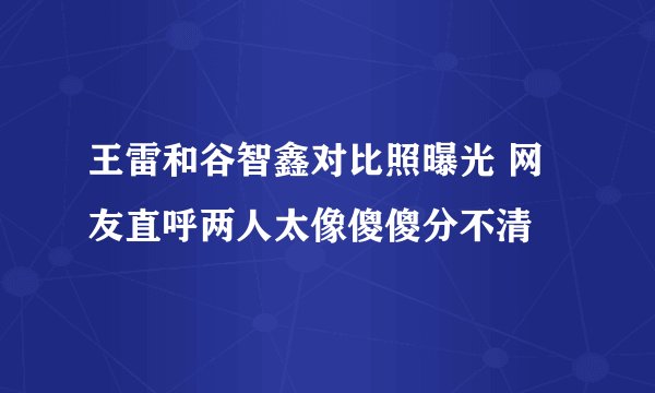 王雷和谷智鑫对比照曝光 网友直呼两人太像傻傻分不清