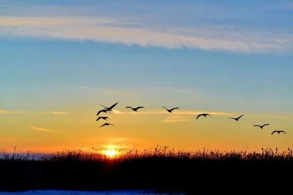 朝阳初升by时青小说闻初