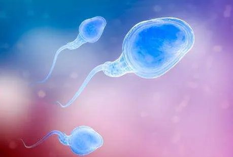 邢台试管助孕怎么收费-邢台三院试管婴儿费用是多少？  2023年试管费分析出炉！