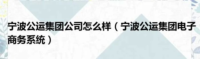宁波公运集团公司怎么样（宁波公运集团电子商务系统）