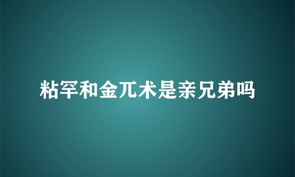粘罕和金兀术是亲兄弟吗