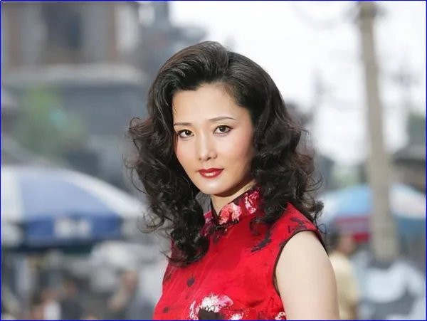 何赛飞主演电视剧大全