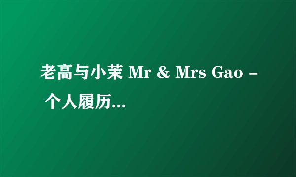 老高与小茉 Mr & Mrs Gao - 个人履历及频道发展简史