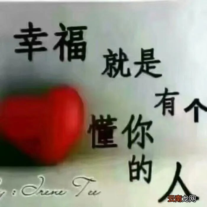 数字代表的情书 数字情书