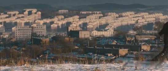 树先生解析细思极恐看了三遍 魔幻与现实交织的一部电影