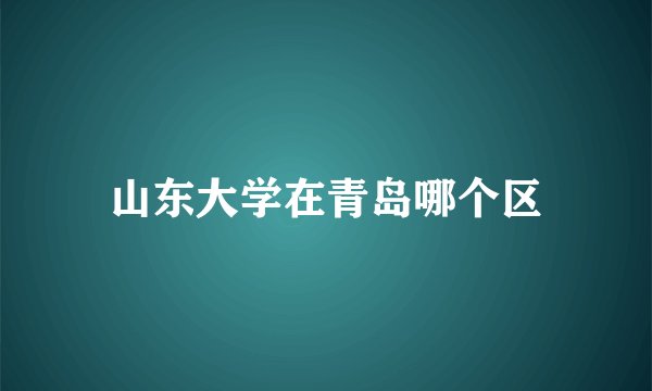 山东大学在青岛哪个区