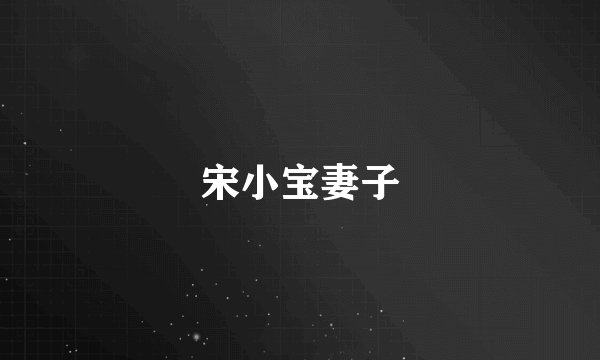 宋小宝妻子
