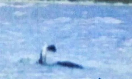 世界十大水怪排名都有哪些 最可怕的水怪真实图片