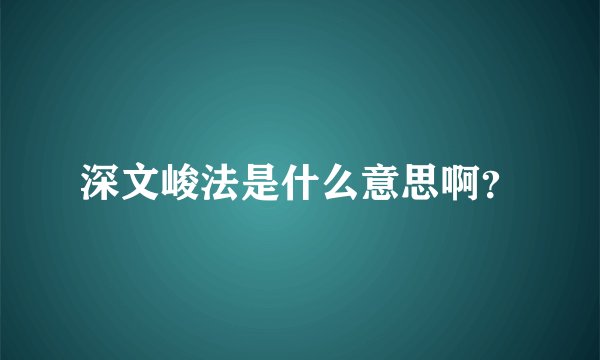 深文峻法是什么意思啊？