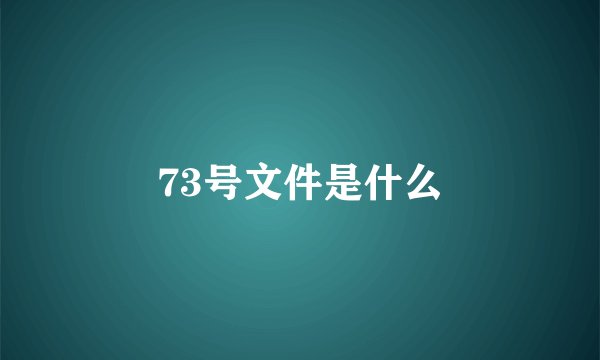 73号文件是什么
