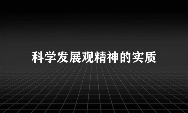 科学发展观精神的实质
