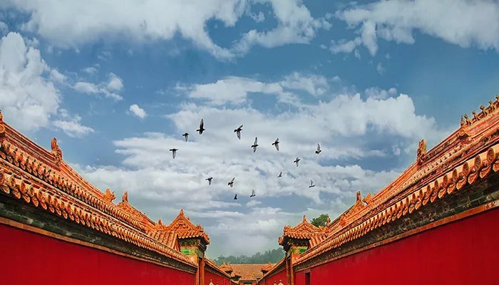 同治帝怎么死的  皇帝同治是怎么死的