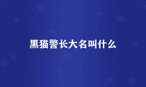 黑猫警长大名叫什么