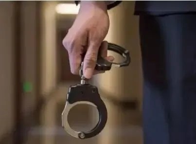 上海行李箱藏尸案嫌犯被批准逮捕，你如何看待这起案件？